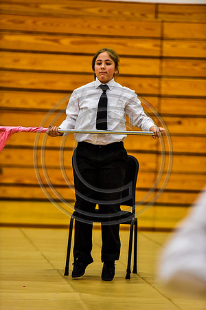 Pegasus Too JR Guard-023