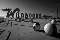 Wildwood 2024