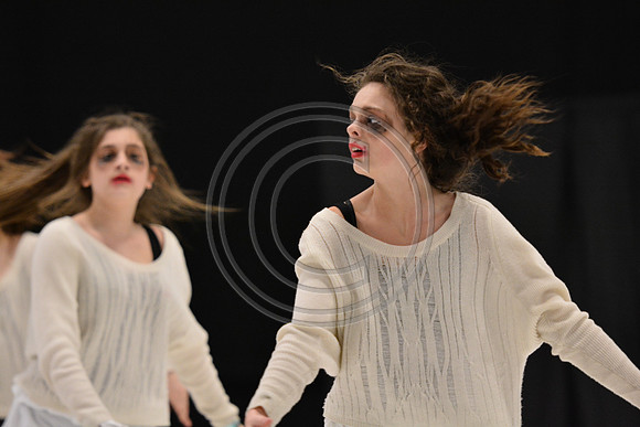 Co-Motion A Dance-5419