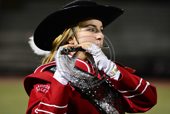 Saucon Valley High School Panthers Marching Band-221
