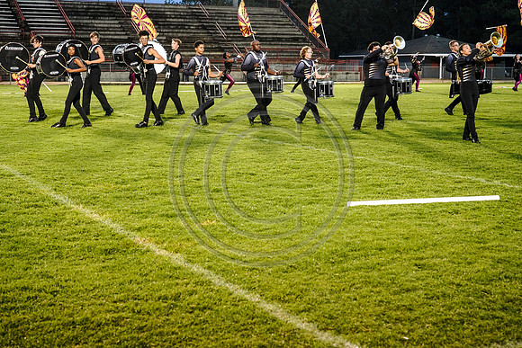 Carolina Gold_190713_Millbrook-03303