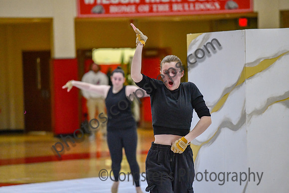 Artemis Guard_250301_Wilson-DJK01082