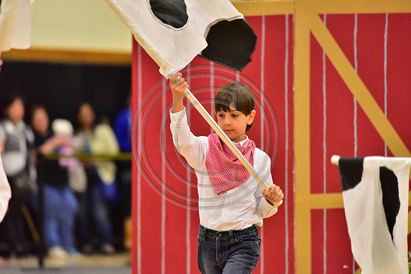 Pegasus Too JR Guard-150