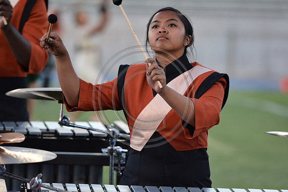 Mandarins-Clovis-629