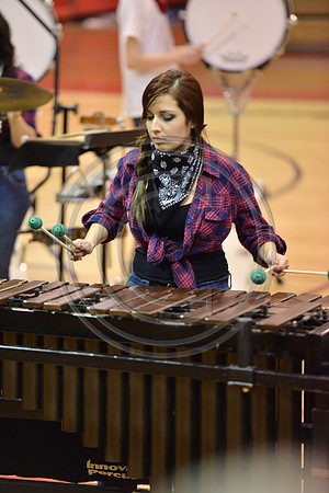 Woodbridge Percussion-431