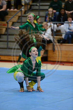 Bridgewater-Raritan Guard-1074