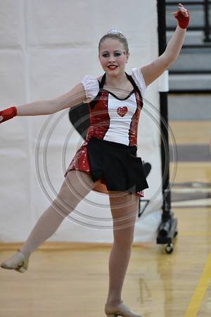 Rhythm in Motion A Dance-308