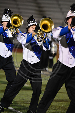 Nazareth Area High School  Blue Eagle-1222