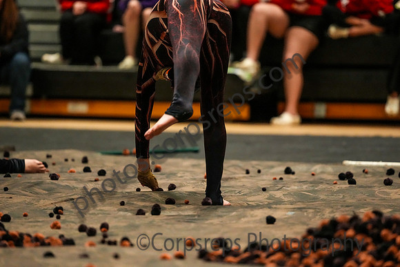 New Hartford Guard_250215_Corning Finals-02684