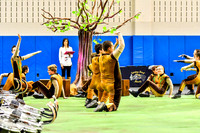 Southern Regional Drumline_180407_Spring-Ford-2645