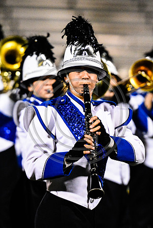 Nazareth Area High School  Blue Eagle-1224
