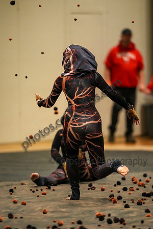 New Hartford Guard_250215_Corning Finals-02692