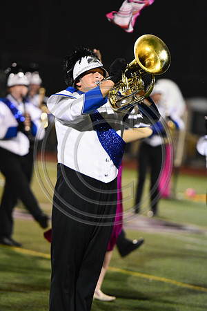 Nazareth Area High School  Blue Eagle-1219