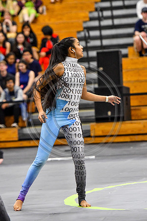 N-8 Winterguard_190413_South Brunswick-2914