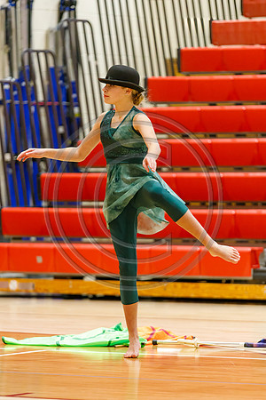 Our_Lady_of_Good_Counsel_Guard_230204_Hillsborough-JB00011