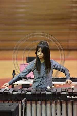 Montville Township Percussion-184