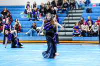 Surge Independent Guard_250125_Spring-Ford-00848