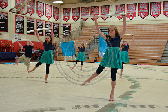 Haddon Heights Short Circuit Guard-016