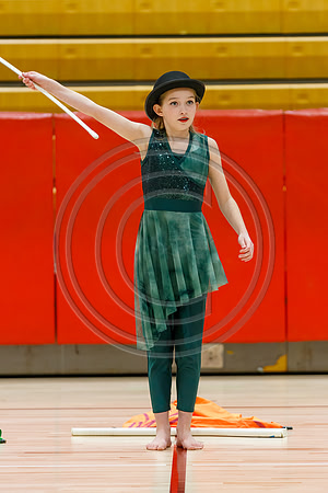 Our_Lady_of_Good_Counsel_Guard_230204_Hillsborough-JB00015