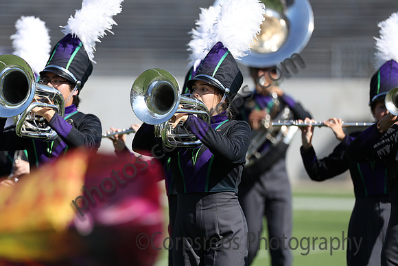 Magnolia_241109_ Katy-cb00018