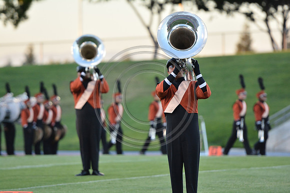 Mandarins-Clovis-605
