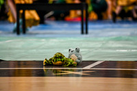 Requiem Regional Guard_250322_Lake Lehman-DJK01608