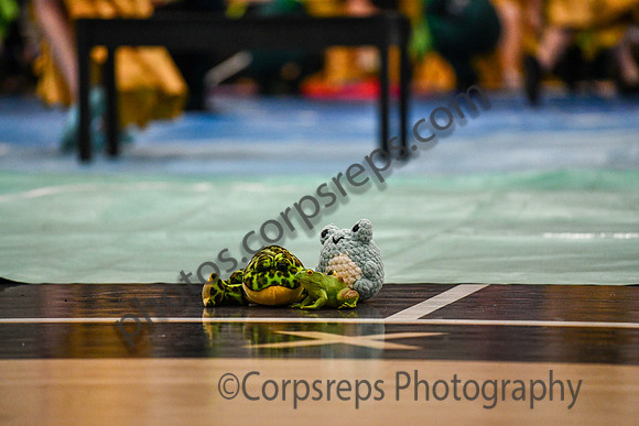 Requiem Regional Guard_250322_Lake Lehman-DJK01608