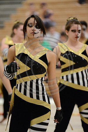 Bloomfield Guard-528