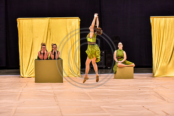 Northern York MS Dance_170505_Wildwood-7970