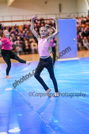High Voltage_250201_North Penn-01283