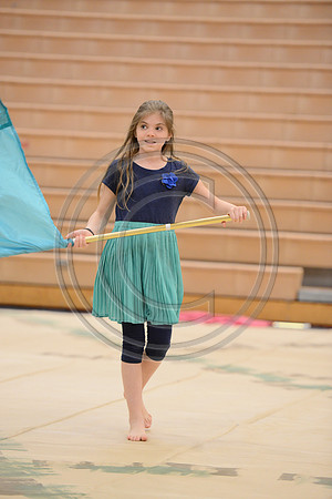 Haddon Heights Short Circuit Guard-023