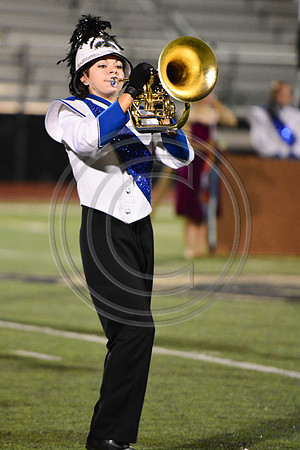Nazareth Area High School  Blue Eagle-1251