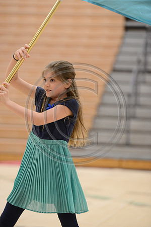 Haddon Heights Short Circuit Guard-025