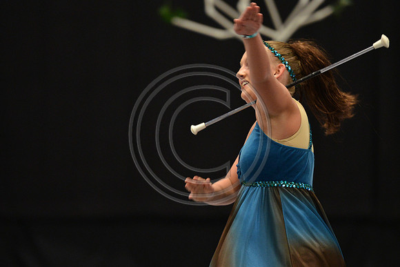 Bald Eagle Area Twirlers-4541