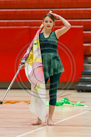 Our_Lady_of_Good_Counsel_Guard_230204_Hillsborough-JB00042