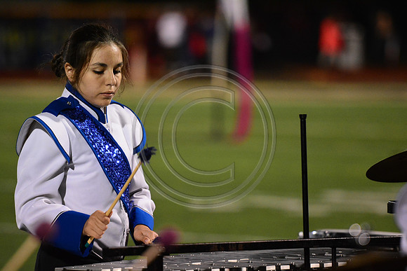 Nazareth Area High School  Blue Eagle-1234
