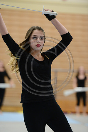 Haddon Heights Synergy Guard-101