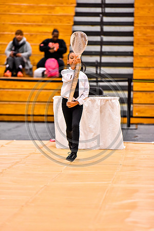 Pegasus Too JR Guard-033