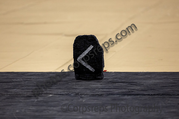 Wayne Hills Guard_240420_CURE Arena-JB00001