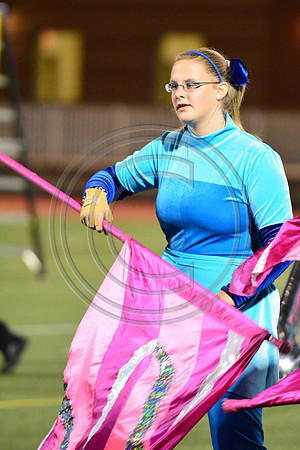 Cedar Cliff High School Colts-441