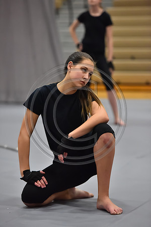 Governor Mifflin Guard-870