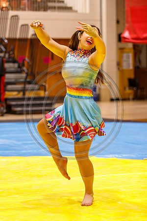 Fair_Lawn_Guard_230204_Hillsborough-JB01324