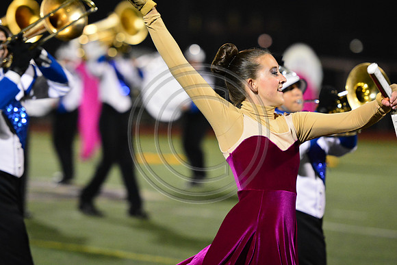 Nazareth Area High School  Blue Eagle-1206