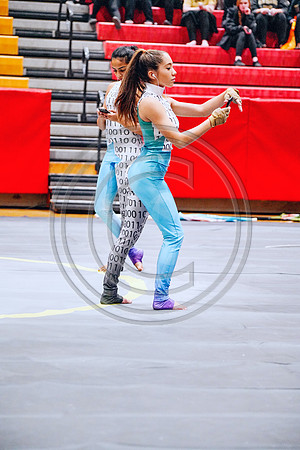 N-8 Winterguard_190202_Hillsborough-2-2