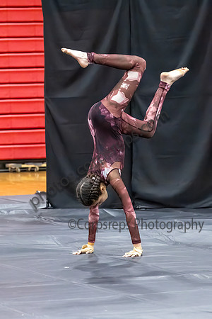 Hackettstown Guard_250308_Bridgewater-Raritan HS-JB00012