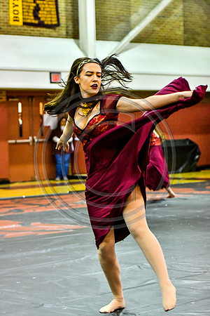 Avon Grove Maroon Guard_180317_Avon Grove-3-12