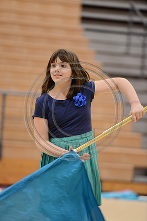 Haddon Heights Short Circuit Guard-010