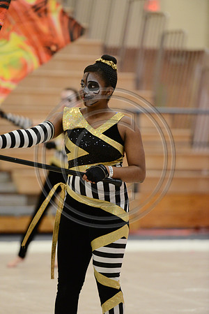 Bloomfield Guard-532