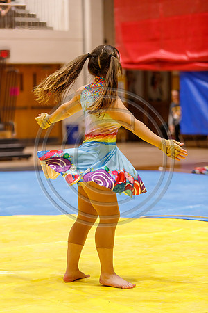Fair_Lawn_Guard_230204_Hillsborough-JB01326