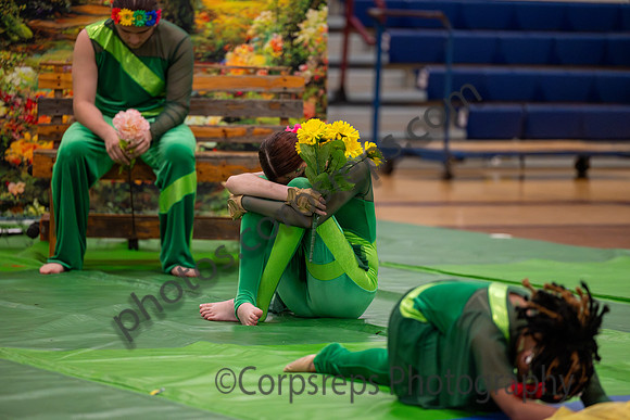 Timber Creek Guard-002